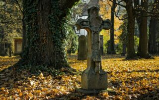 autumn-2182010_1920